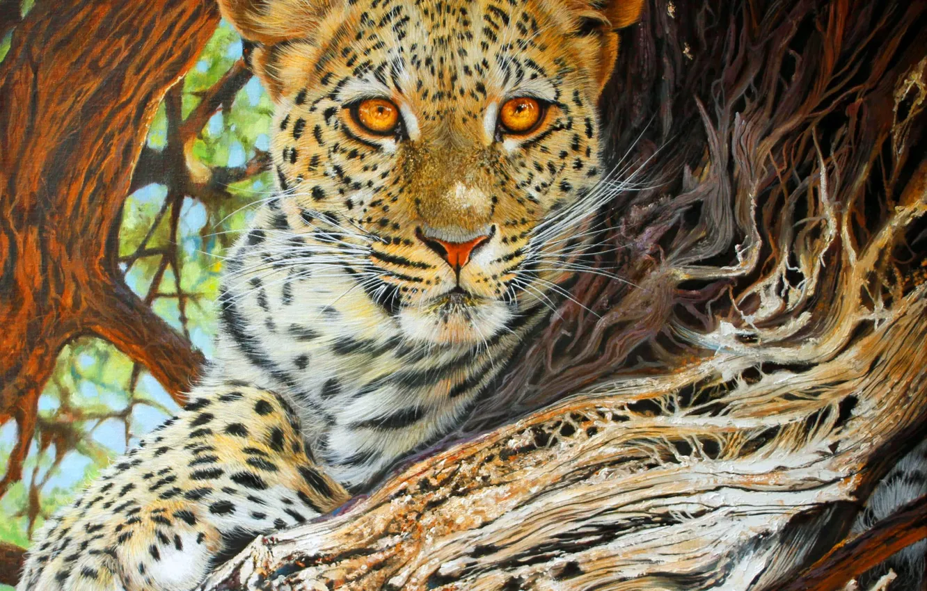 Photo wallpaper look, face, predator, picture, leopard, big cat, British animal artist, Pip McGarry