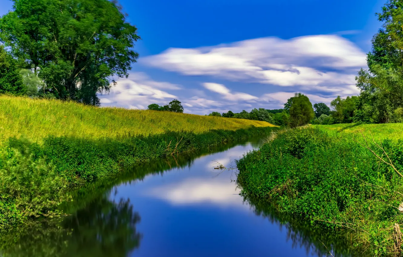 Photo wallpaper grass, trees, river, meadow