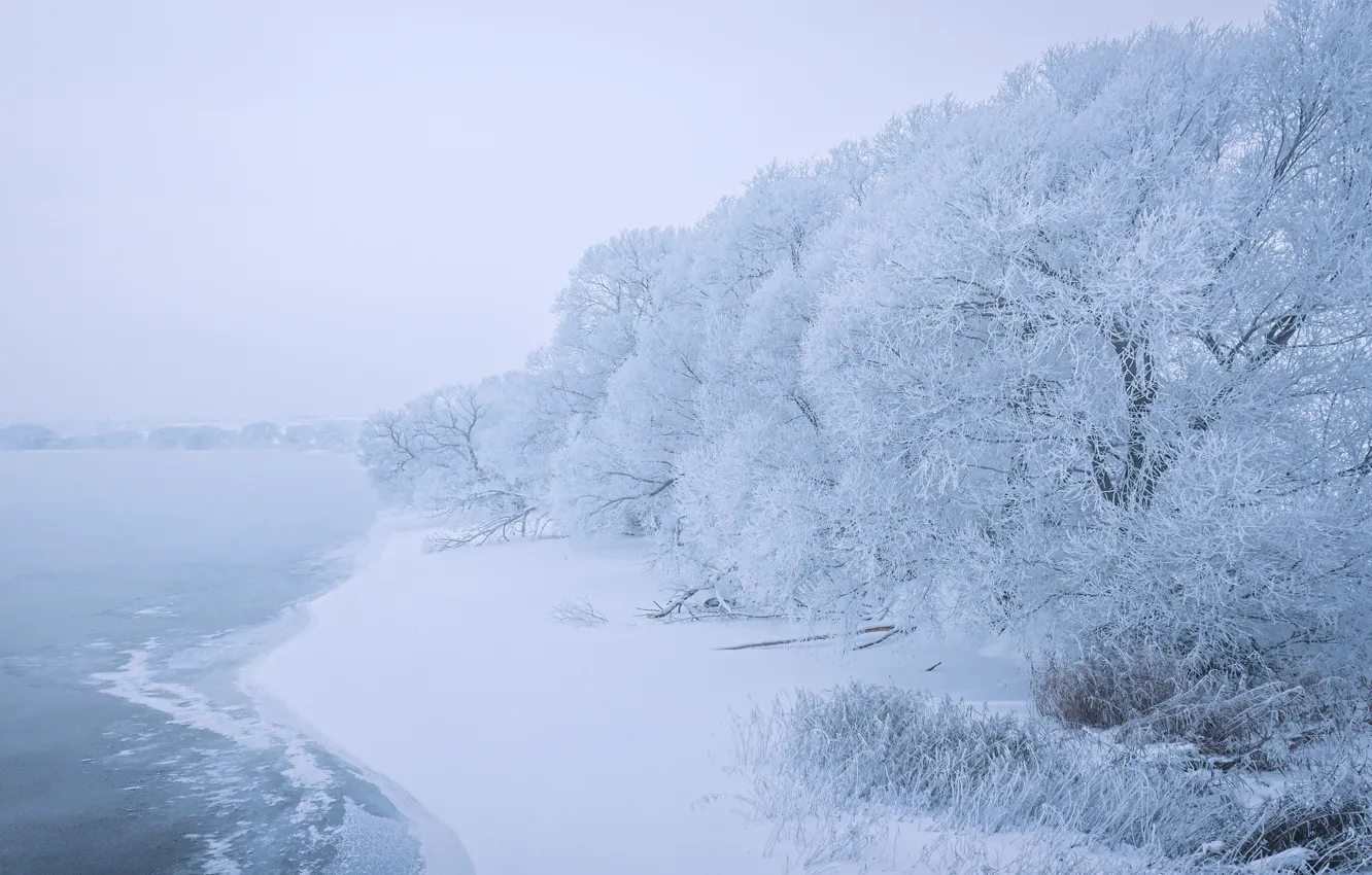 Photo wallpaper snow, trees, lake, shore, Sergey Poletaev, Sergei Poletaev