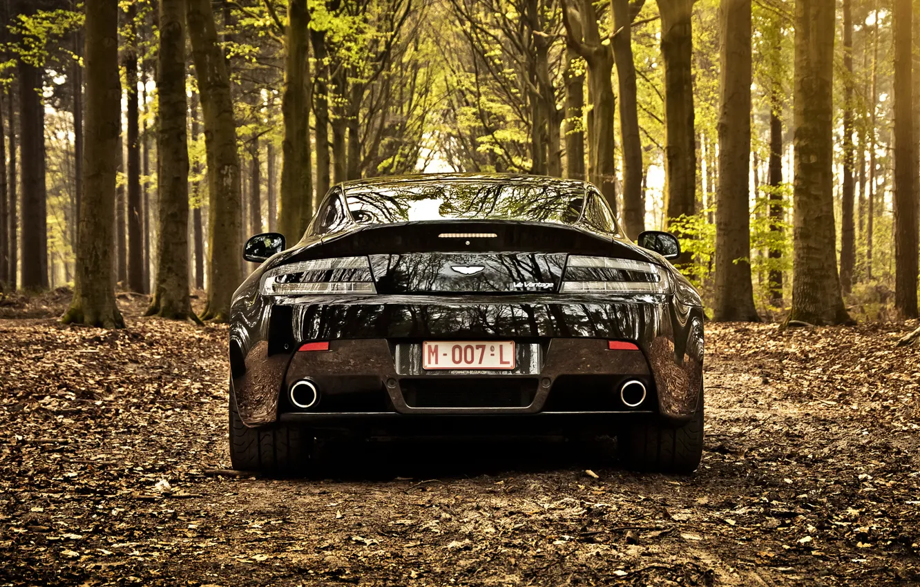 Photo wallpaper leaves, trees, black, Aston Martin, Aston martin, black, vantage, tree