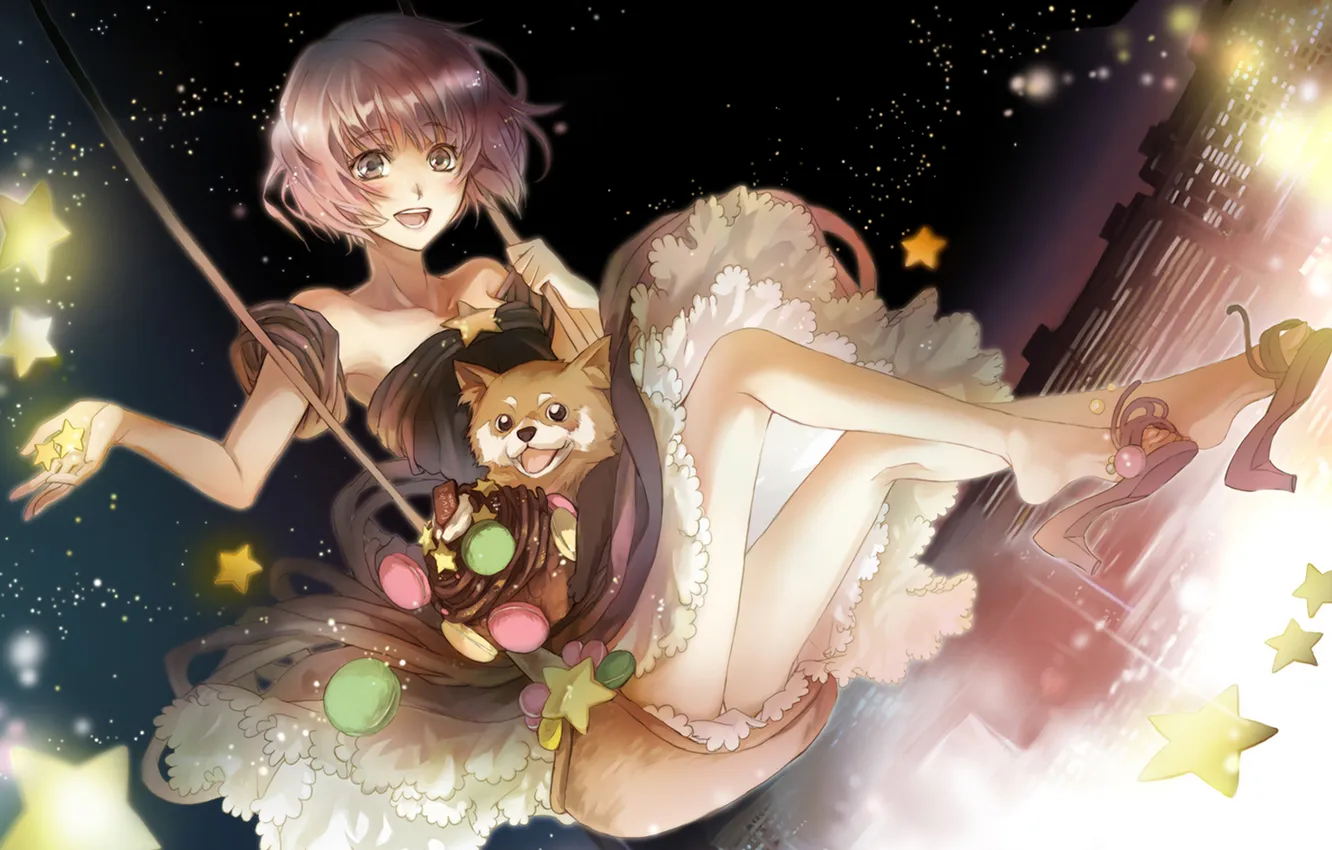 Photo wallpaper girl, stars, night, lights, swing, sweets, dog