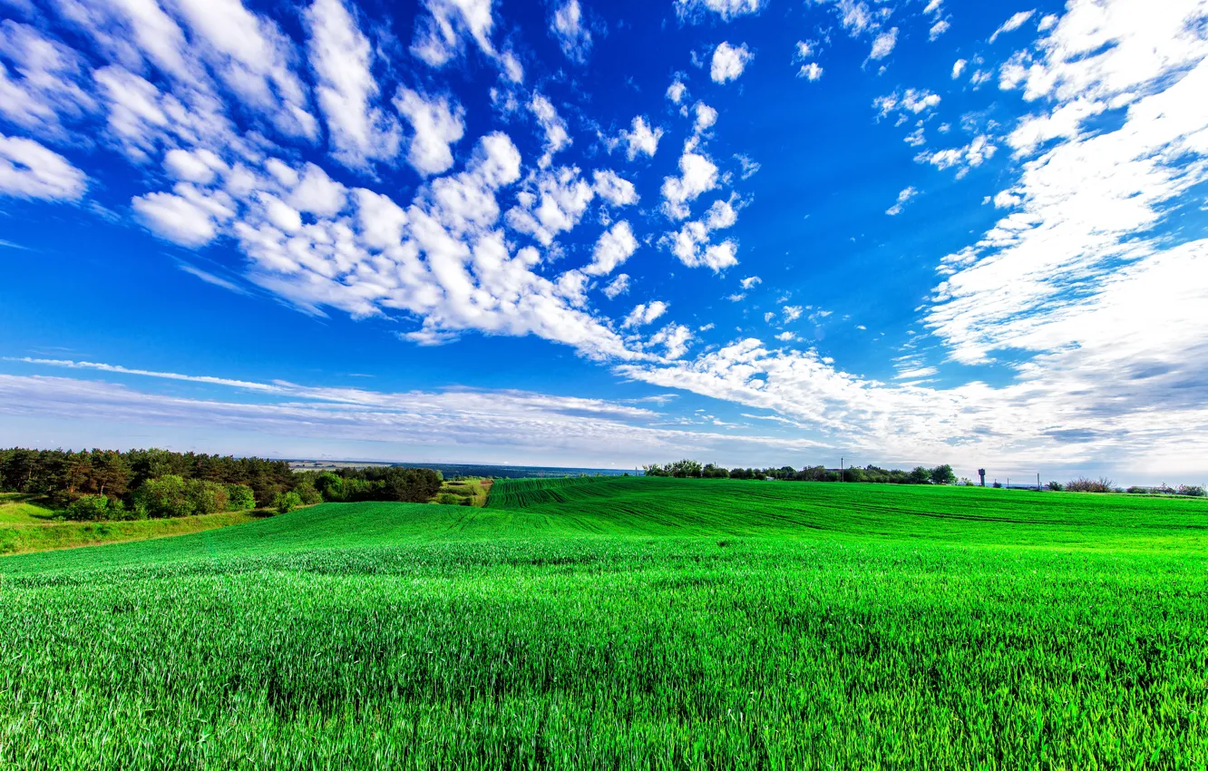 Photo wallpaper greens, field, the sky, grass, clouds, trees