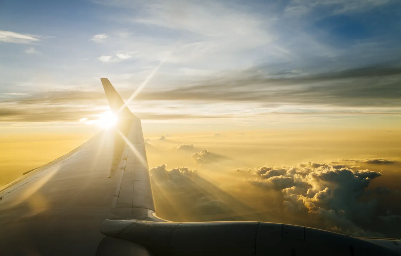 Photo wallpaper the plane, flight, the sky, aviation