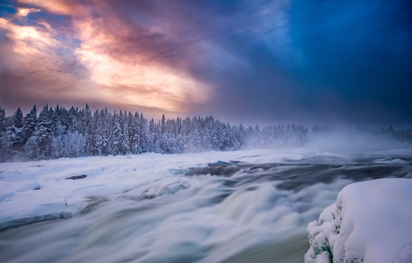 Photo wallpaper winter, forest, the sky, snow, river, Sweden, Sweden, thresholds