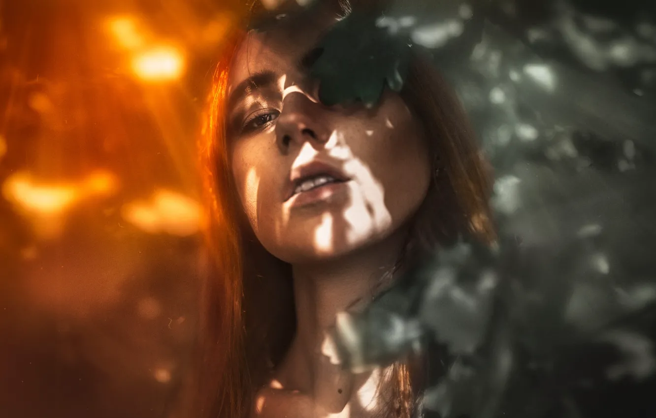 Photo wallpaper look, leaves, the sun, model, portrait, makeup, hairstyle, brown hair