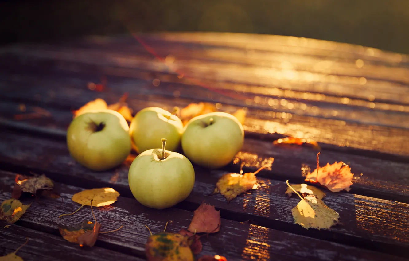 Photo wallpaper autumn, leaves, nature, table, apples, the evening, harvest