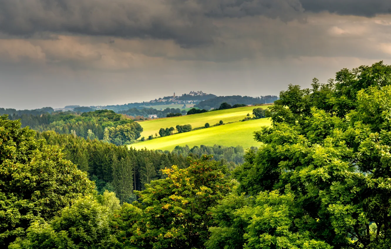Photo wallpaper greens, field, forest, summer, the sky, trees, branches, clouds