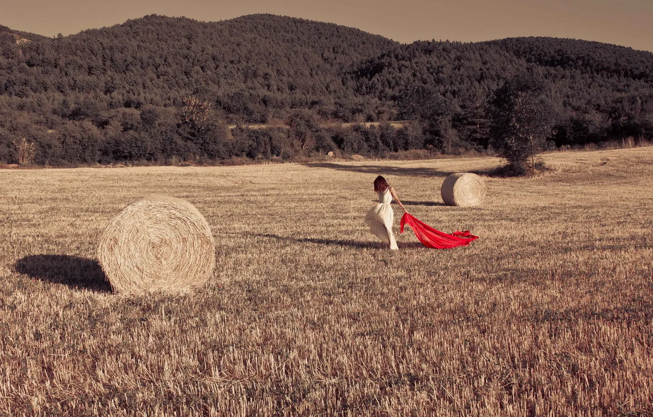Photo wallpaper field, girl, hay