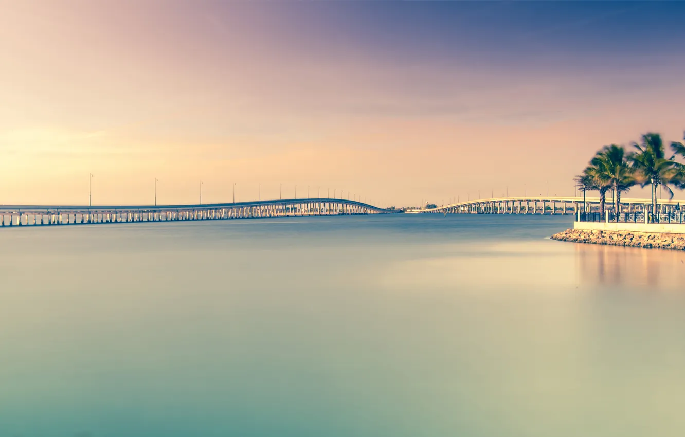 Photo wallpaper sea, bridge, surface, palm trees