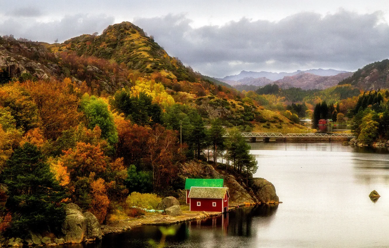 Photo wallpaper autumn, forest, trees, mountains, river, stones, shore, Norway