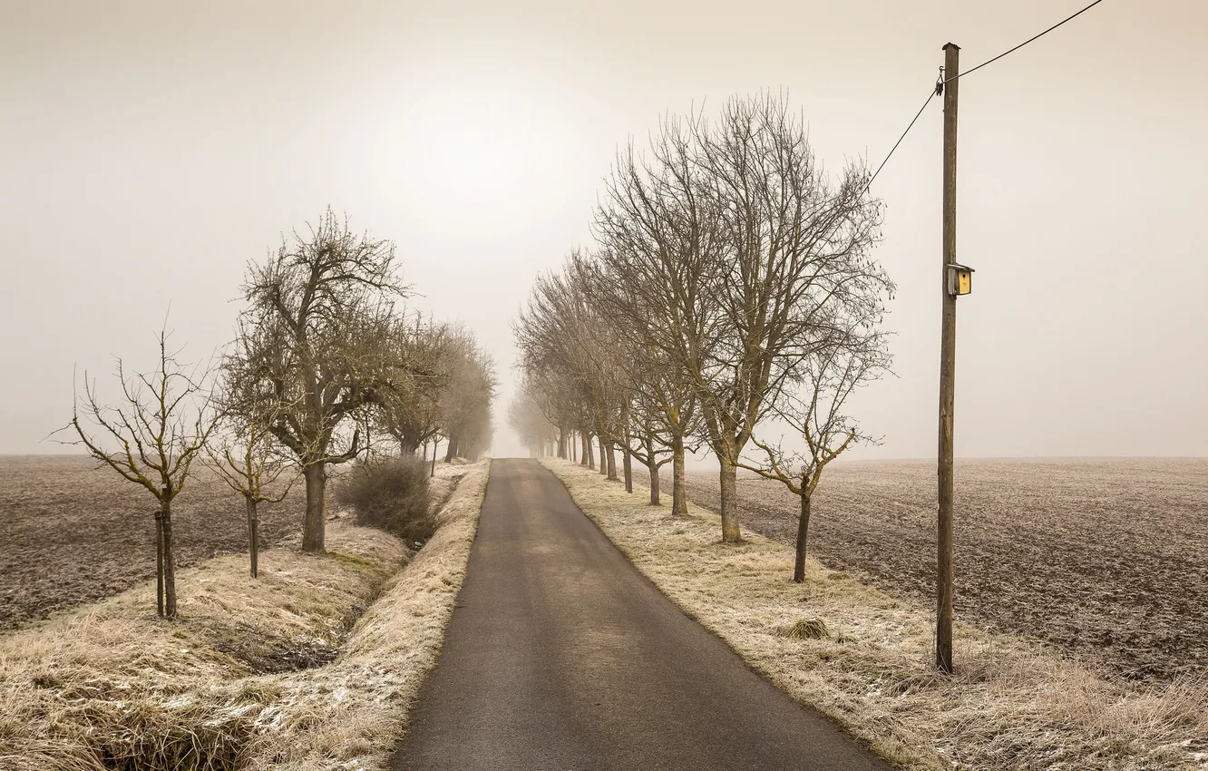 Photo wallpaper road, field, nature