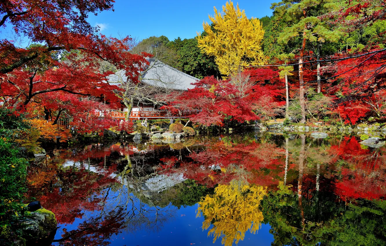 Photo wallpaper autumn, leaves, trees, house, pond, reflection, Japan, garden