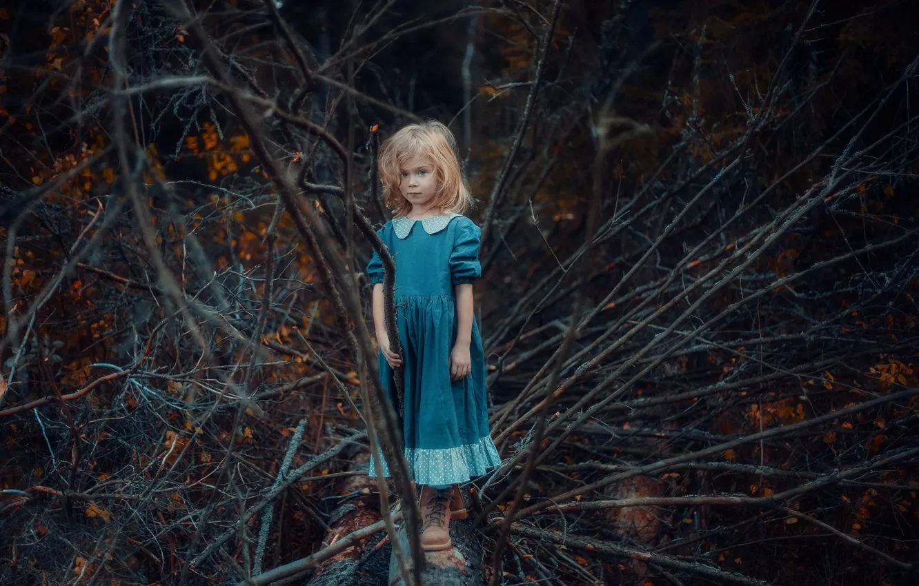 Photo wallpaper forest, branches, dress, girl, blue-eyed
