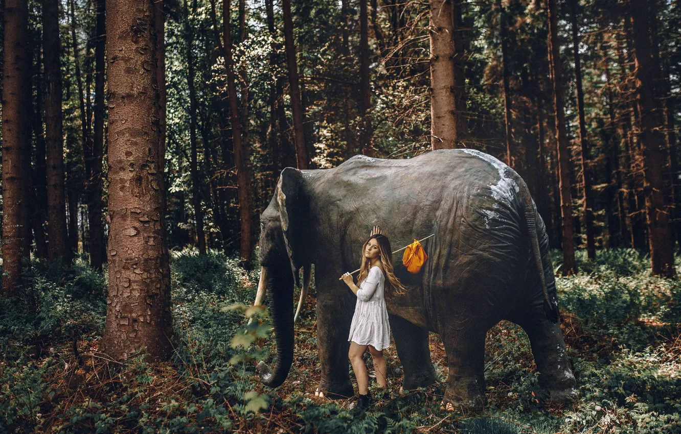 Photo wallpaper forest, girl, elephant