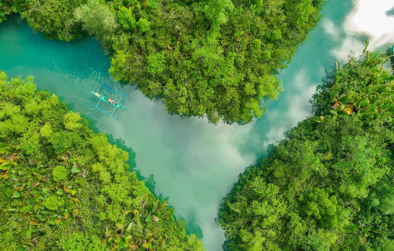 Photo wallpaper forest, boat, Philippines, river Boho, Cebu
