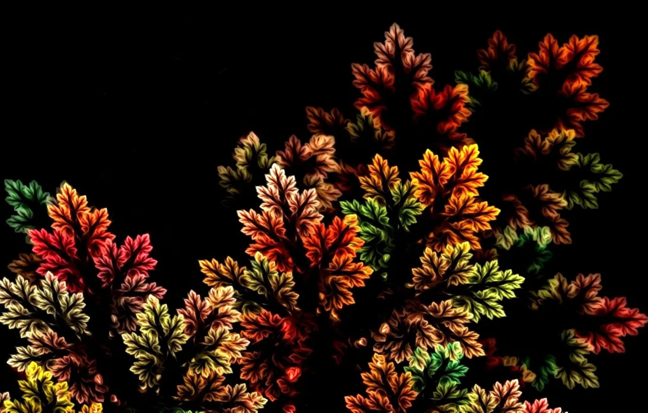 Photo wallpaper autumn, leaves, nature, abstraction, rendering, fractal, black background, picture