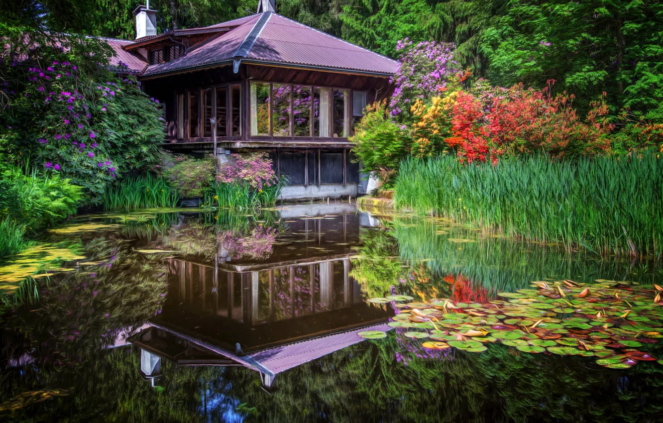 Photo wallpaper water, trees, flowers, house, pond, Park, reflection, the reeds