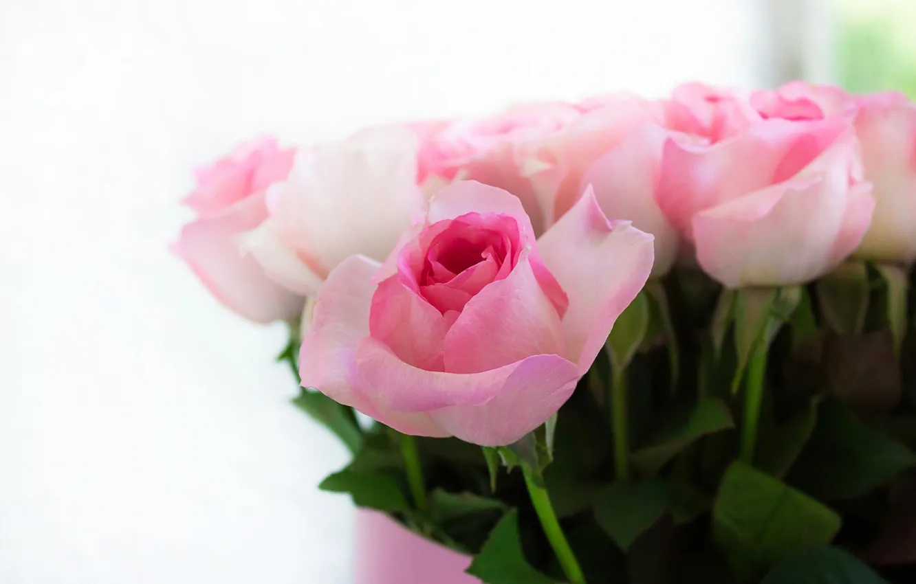 Photo wallpaper flowers, roses, bouquet
