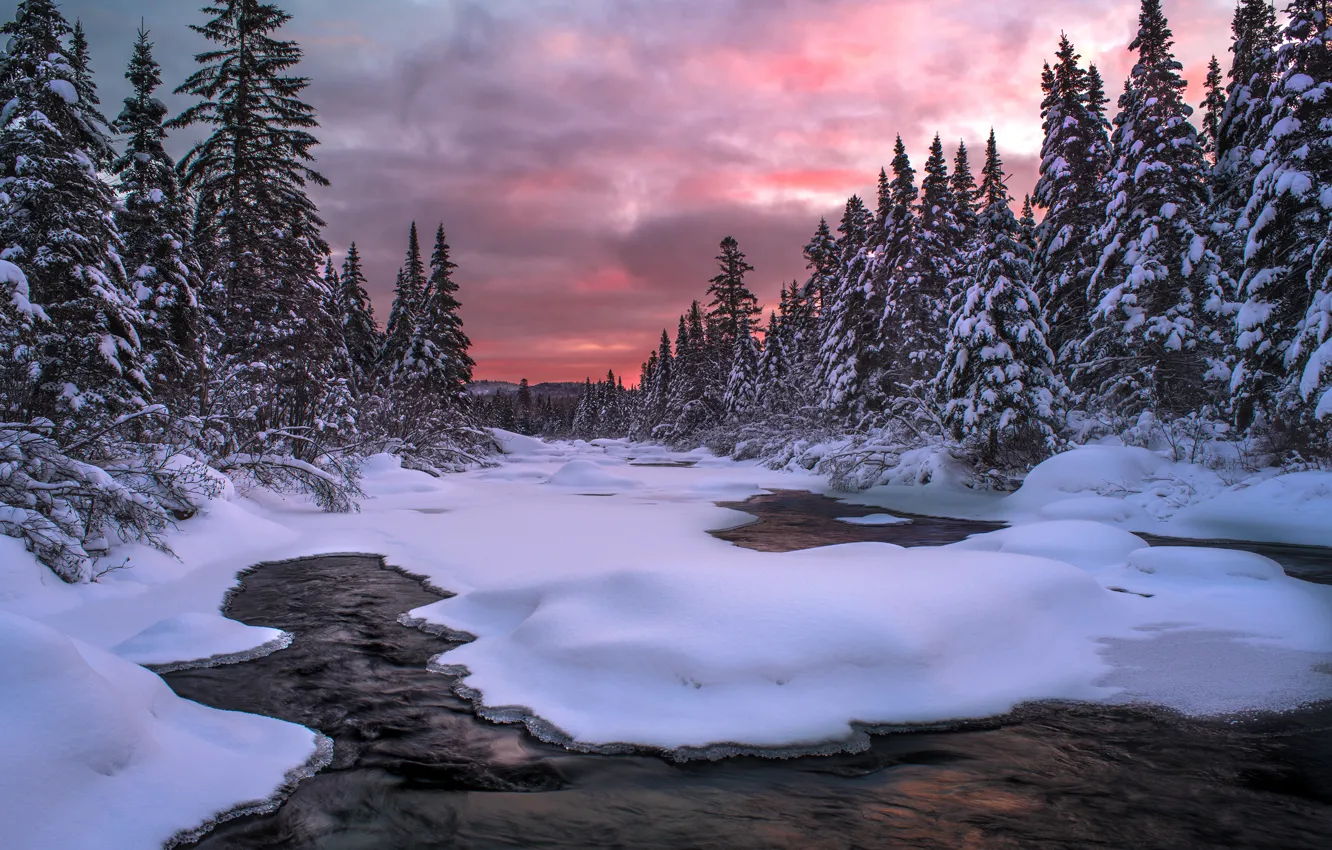 Photo wallpaper winter, forest, snow, landscape, nature, ate, pond
