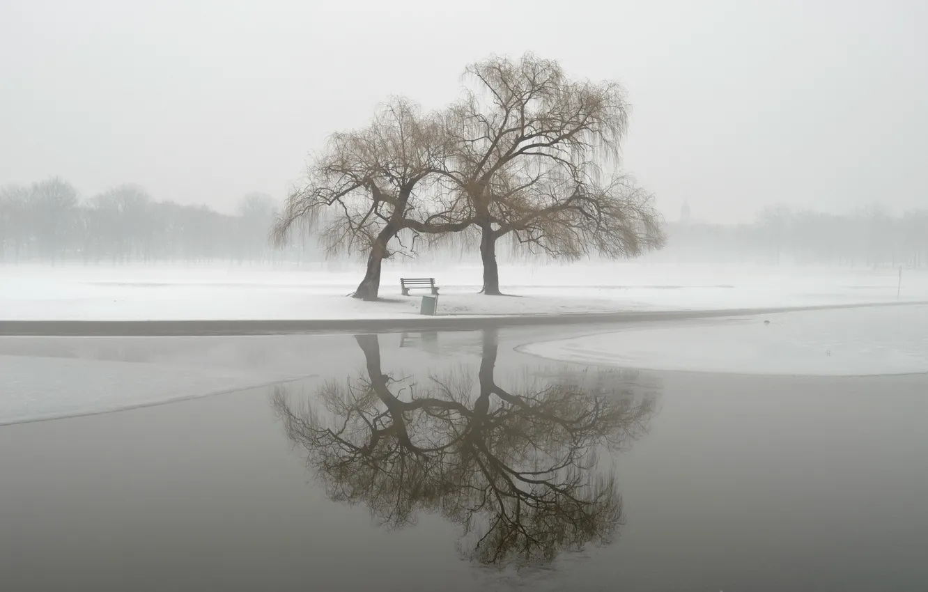 Photo wallpaper winter, landscape, fog, Park