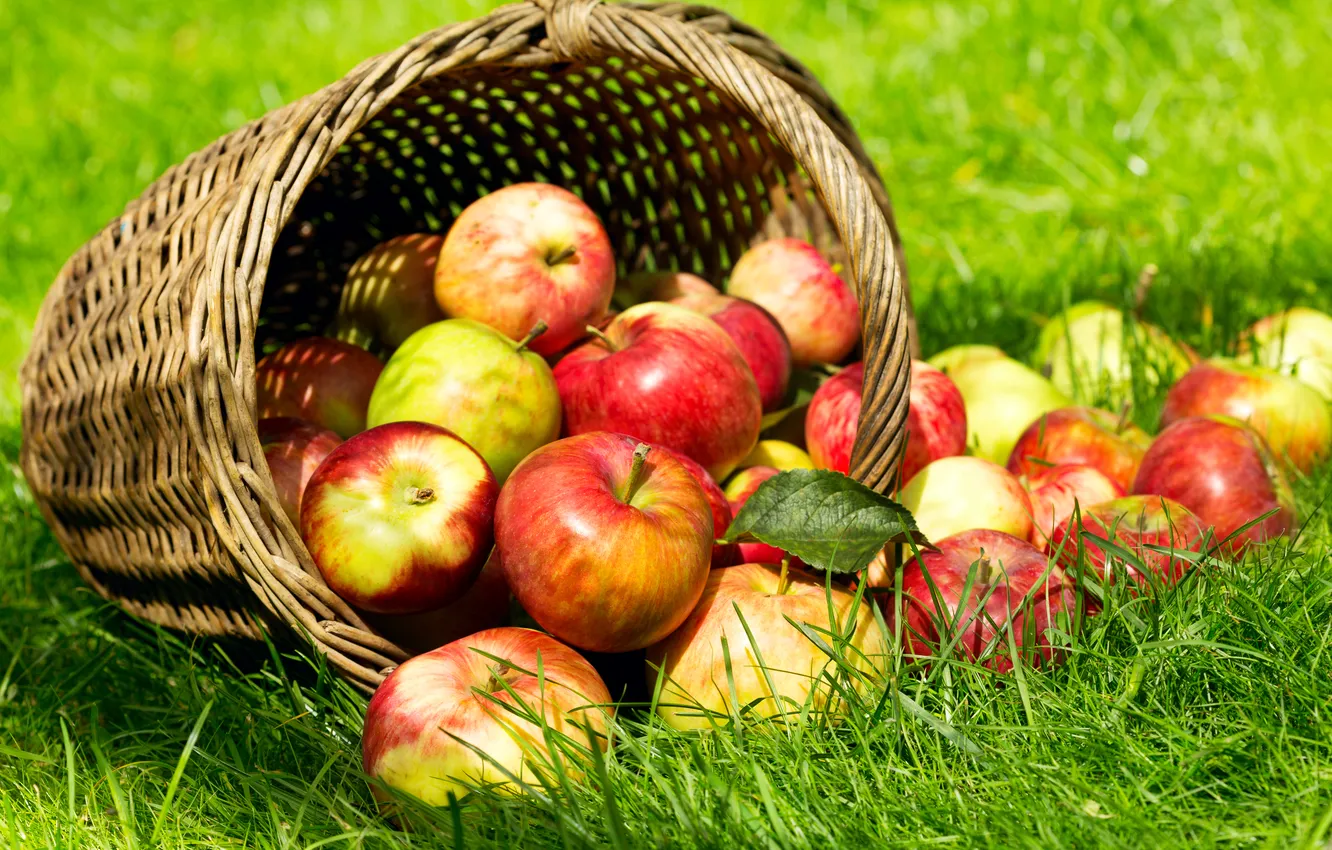 Photo wallpaper summer, fruits, apples