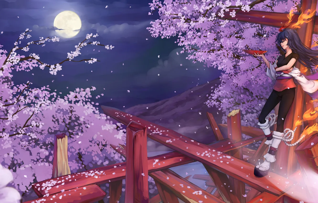 Photo wallpaper girl, night, lights, smile, magic, the moon, Sakura, drink