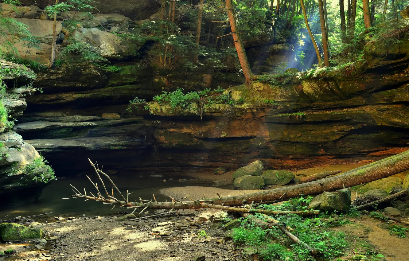 Photo wallpaper forest, water, rays, trees, rock, stream, stones, twilight