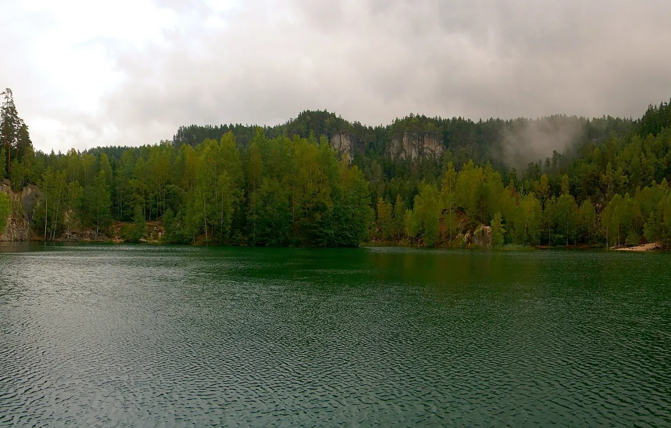 Photo wallpaper forest, the sky, water, clouds, trees, mountains, lake