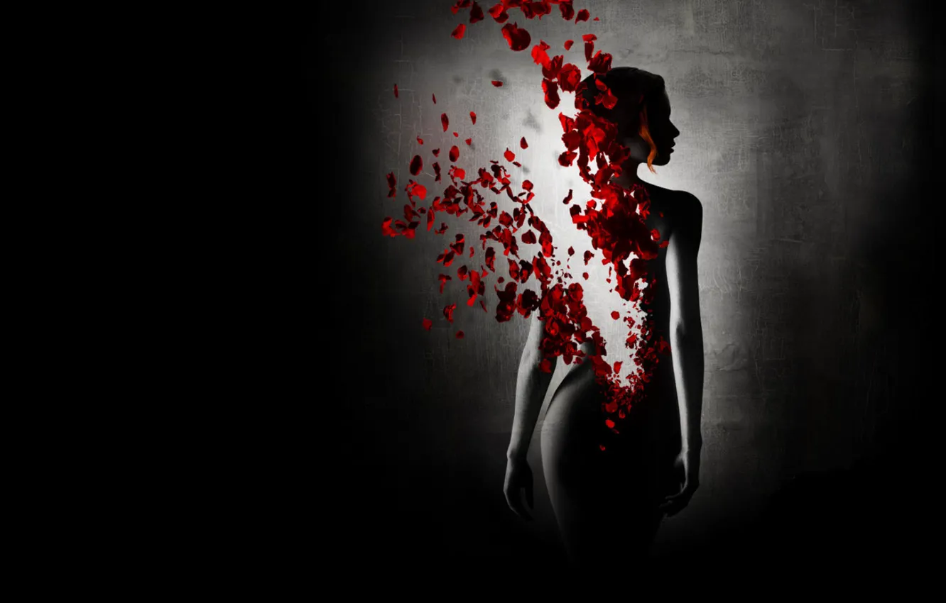 Photo wallpaper girl, black background, dissolution, rose petals, reincarnation