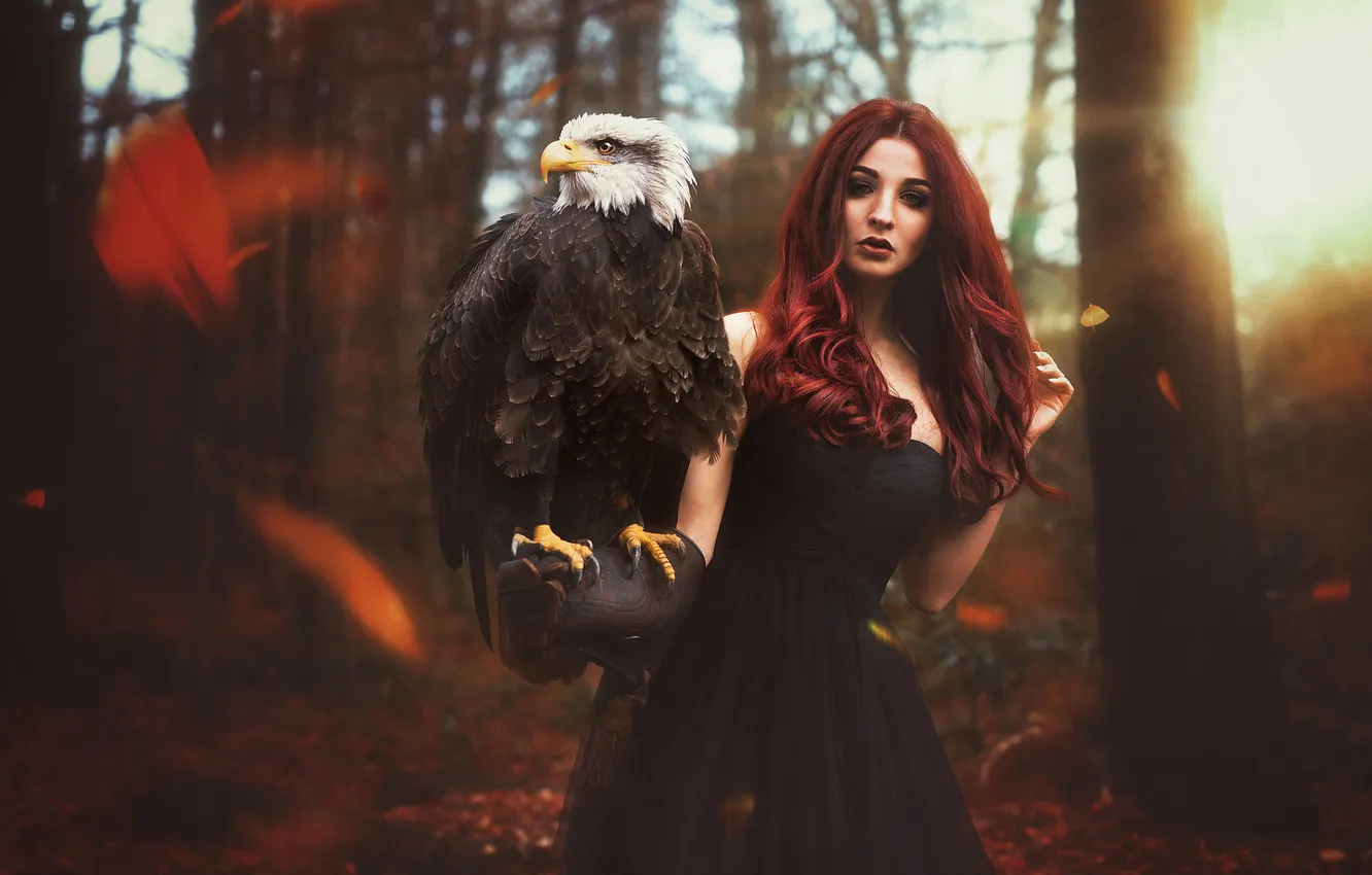 Photo wallpaper autumn, forest, look, girl, the sun, rays, light, trees