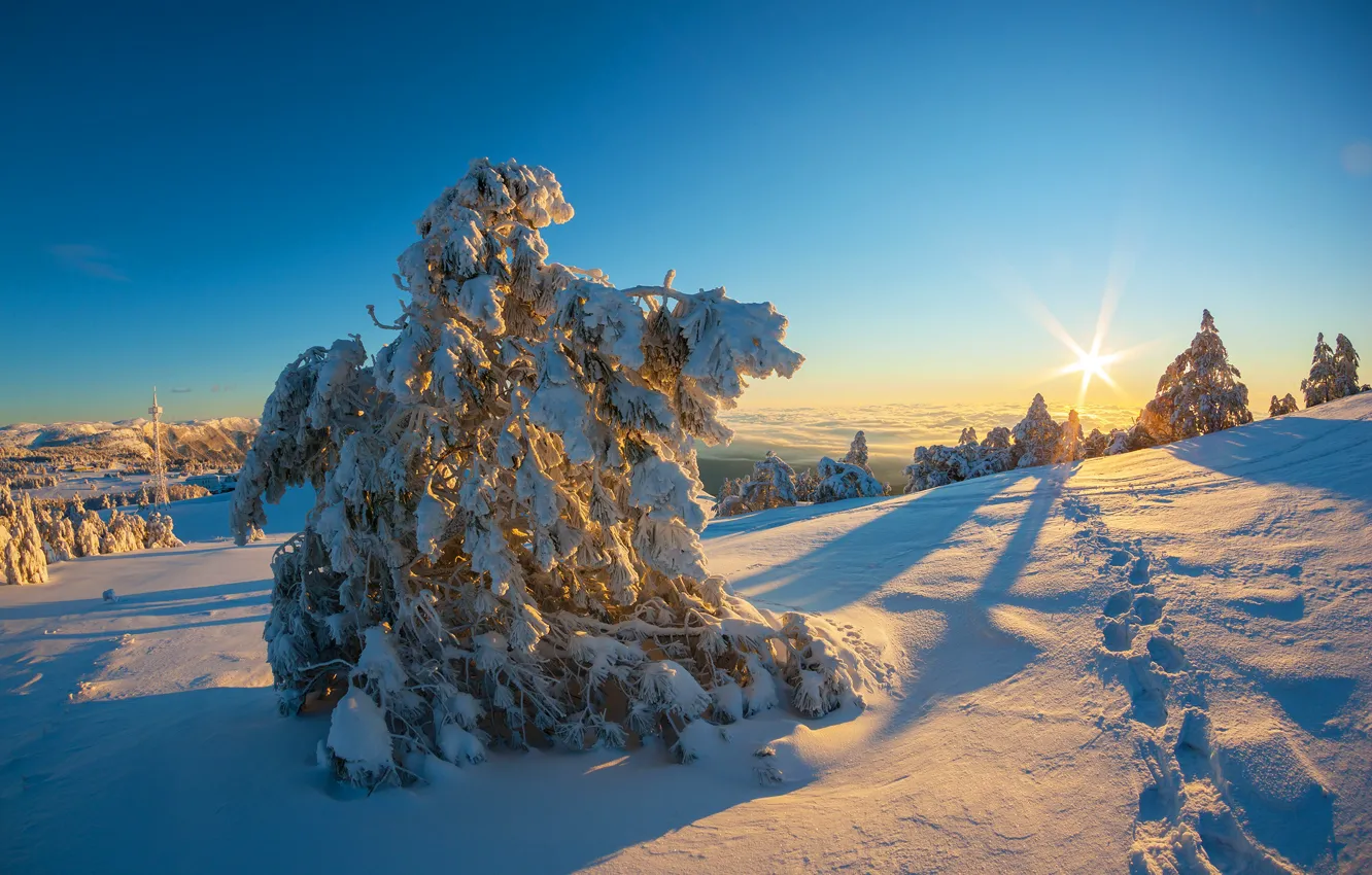 Photo wallpaper winter, the sun, rays, snow, trees, landscape, mountains, traces