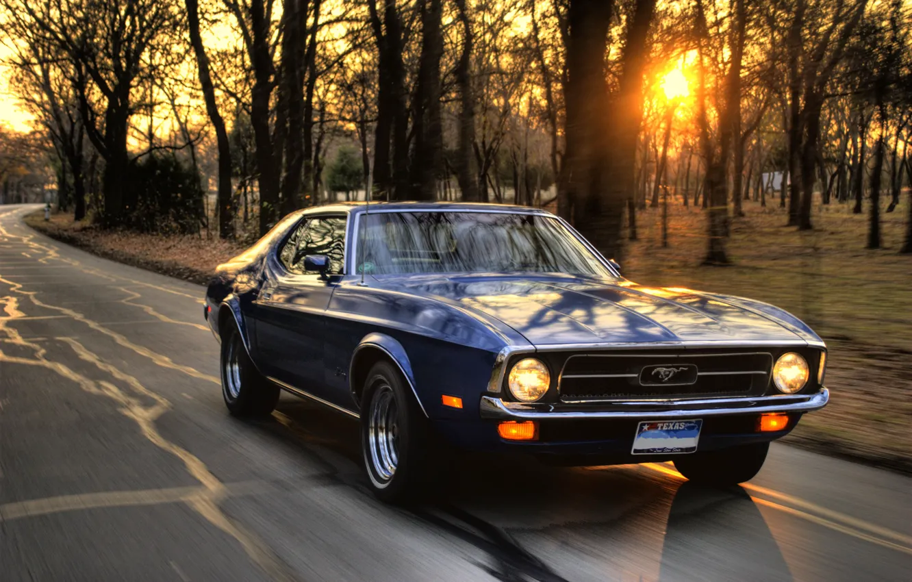 Photo wallpaper machine, sunset, speed, ford mustang