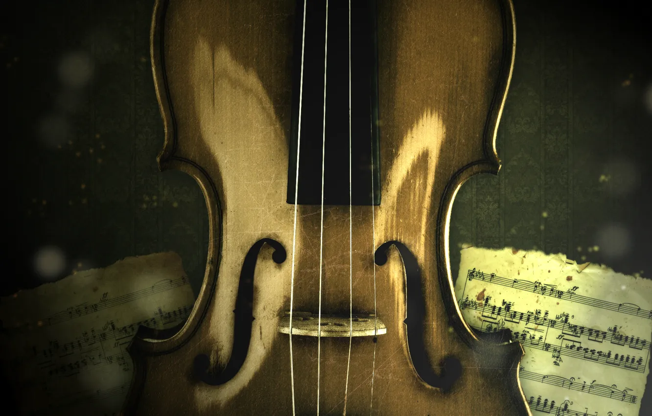 Photo wallpaper notes, music, violin, strings, music, violin