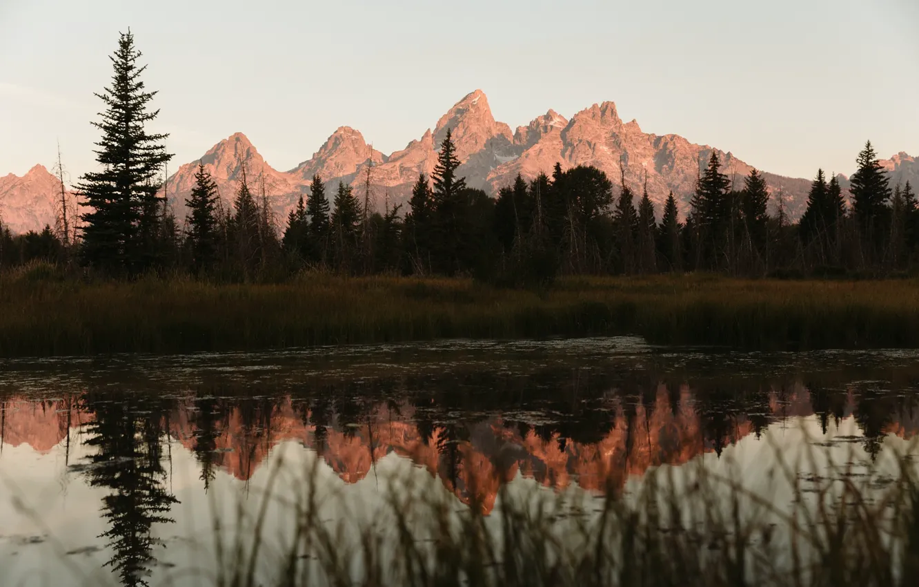 Photo wallpaper forest, mountains, nature, river, USA