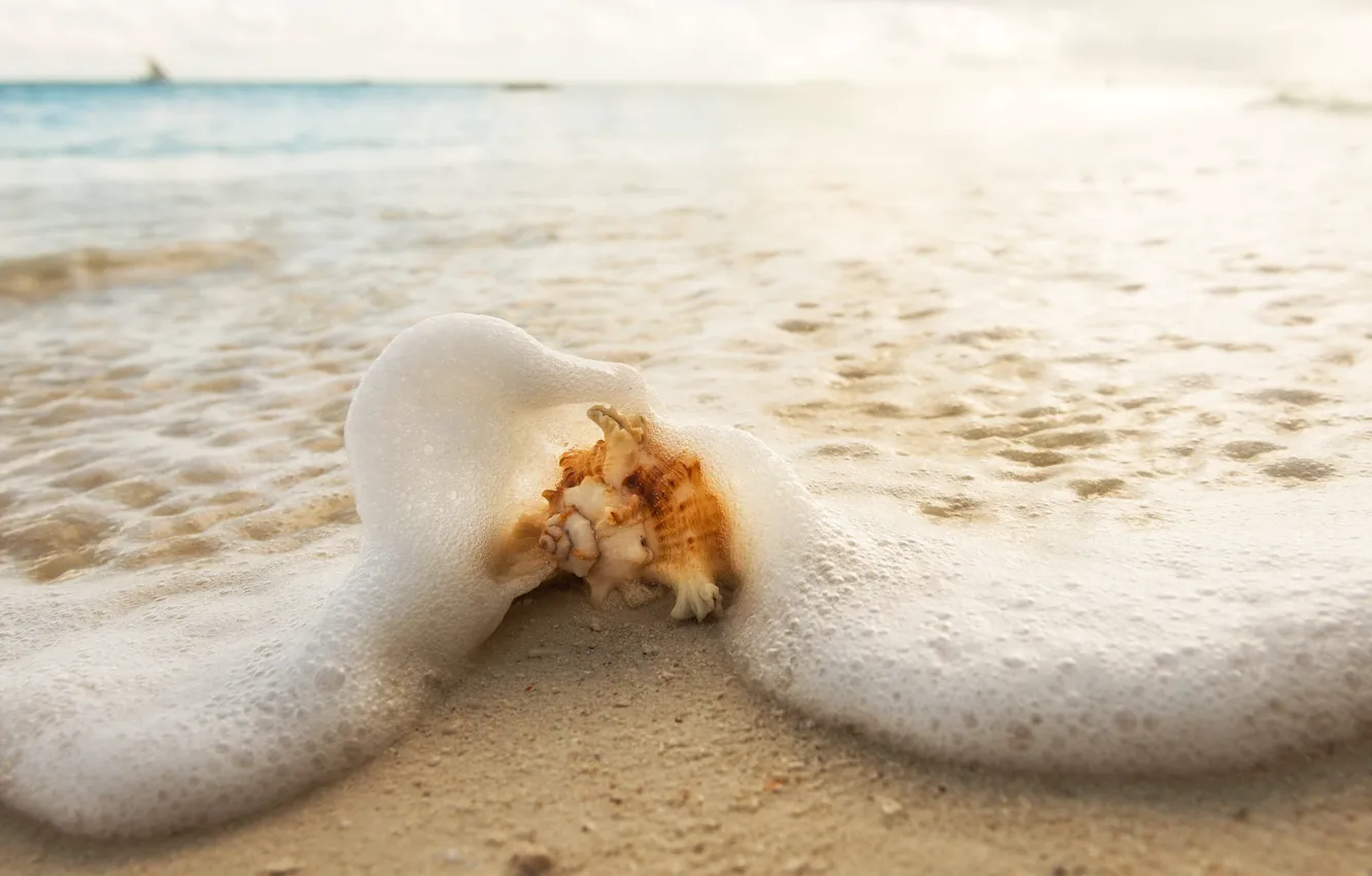 Photo wallpaper sand, sea, wave, beach, foam, nature, shore, sink