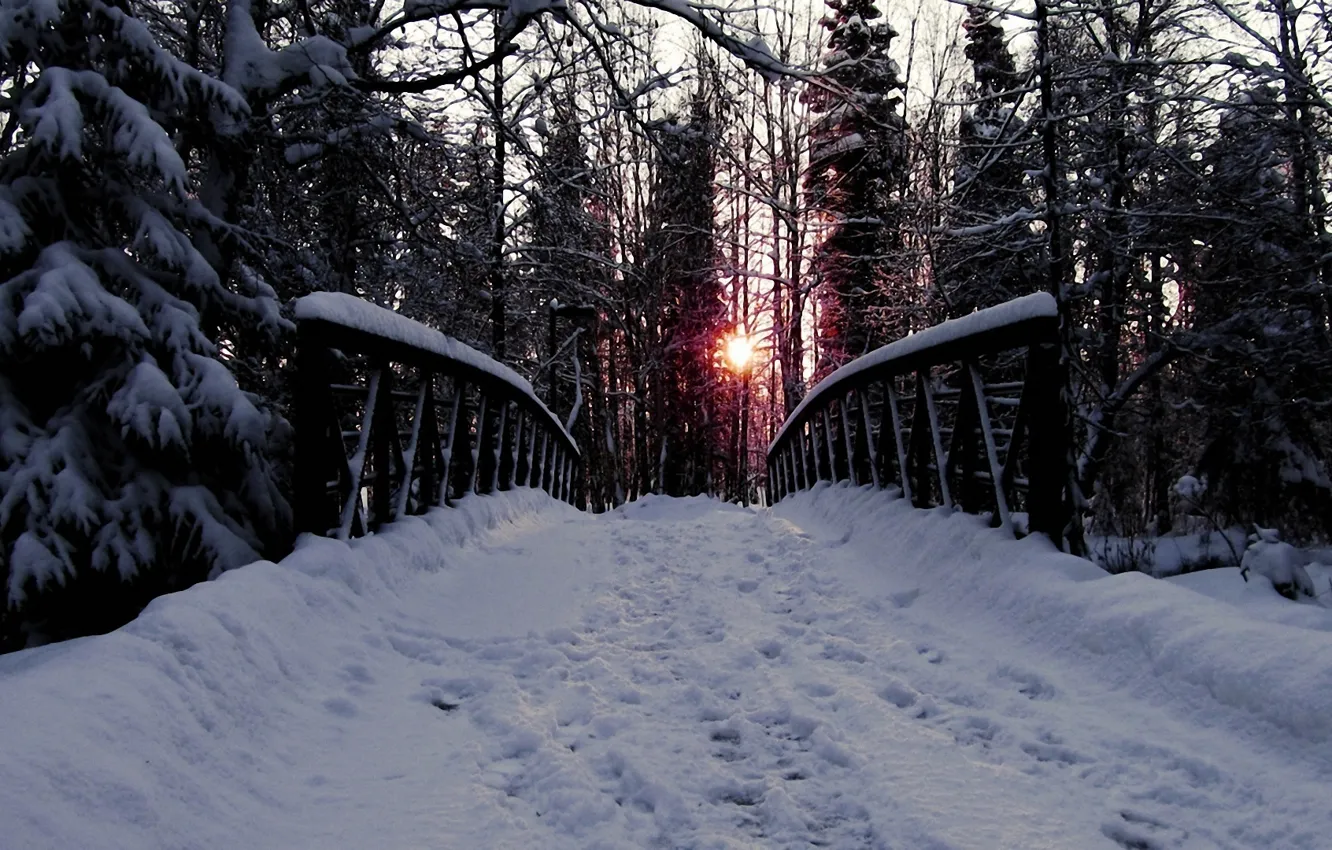 Photo wallpaper road, forest, snow, trees, bridge