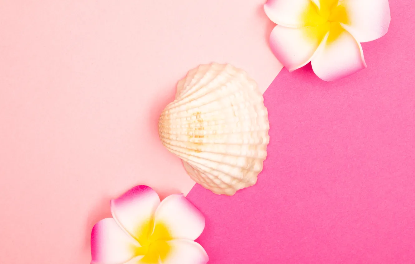 Photo wallpaper flowers, background, pink, color, texture, shell, three, trio