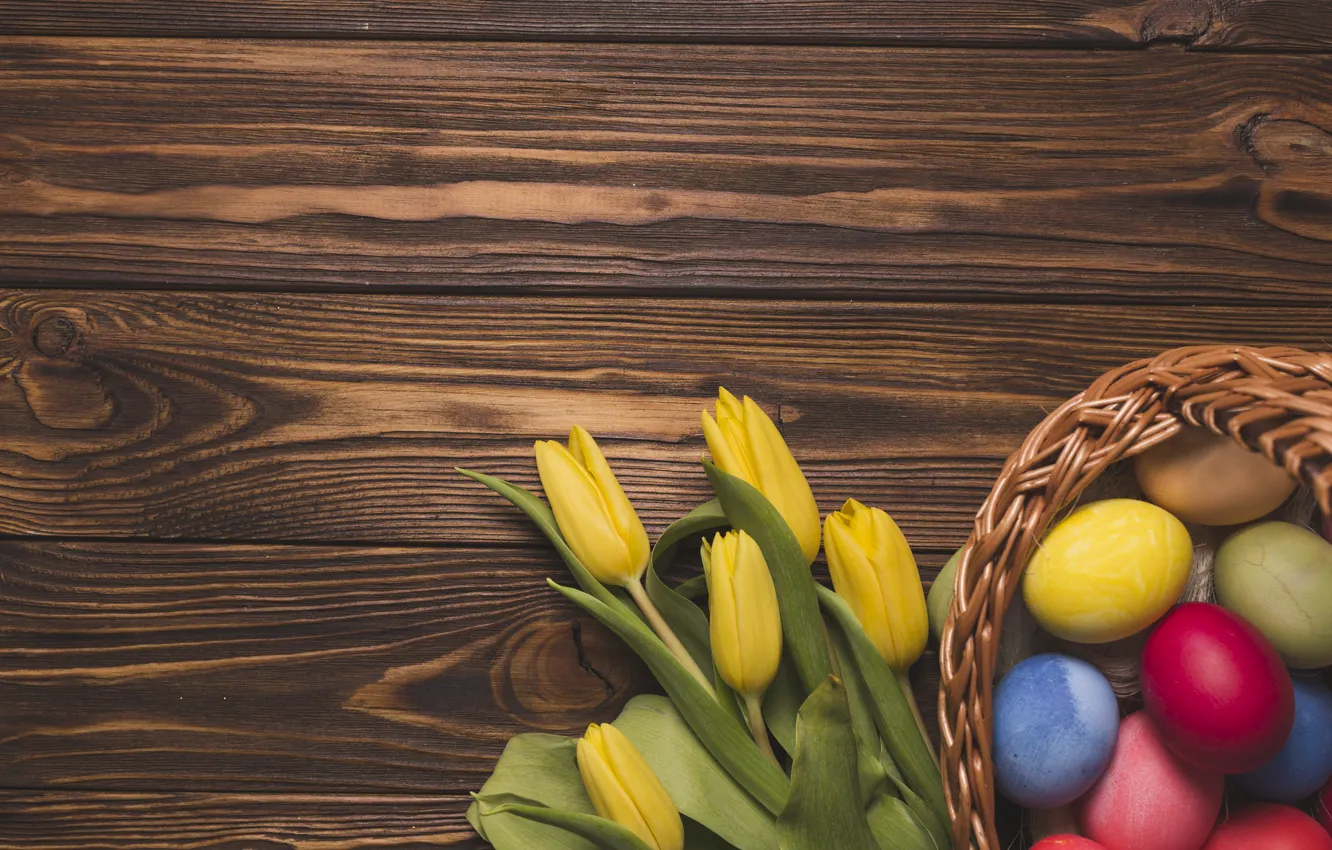 Photo wallpaper flowers, holiday, eggs, Easter, socket, tulips