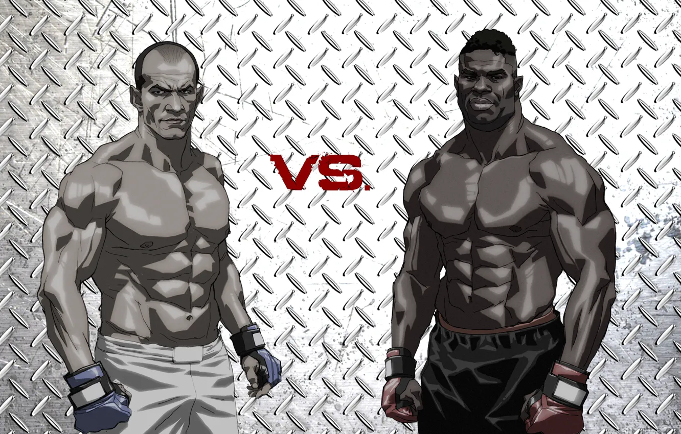 Photo wallpaper fights without rules, mma, ufc
