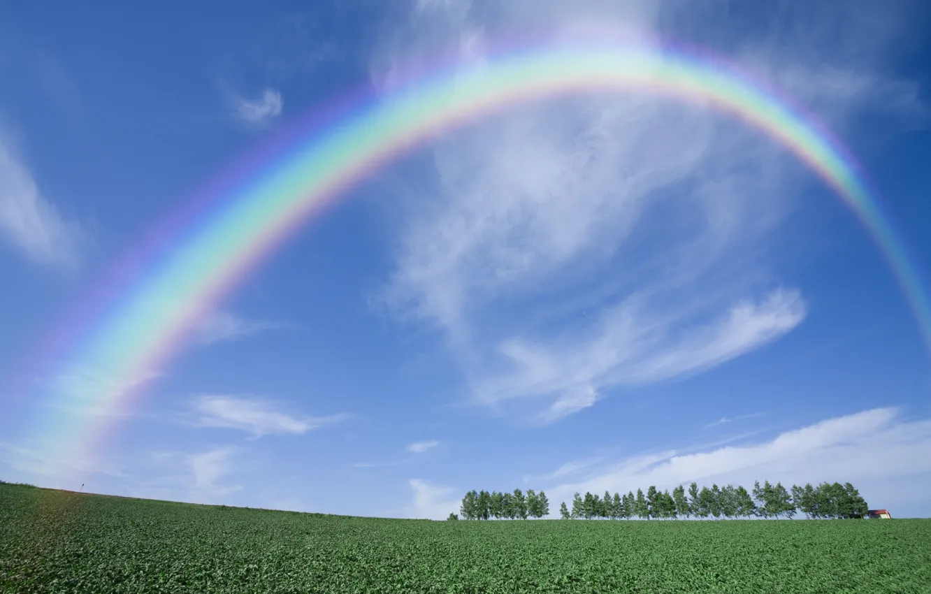 Photo wallpaper field, trees, rainbow