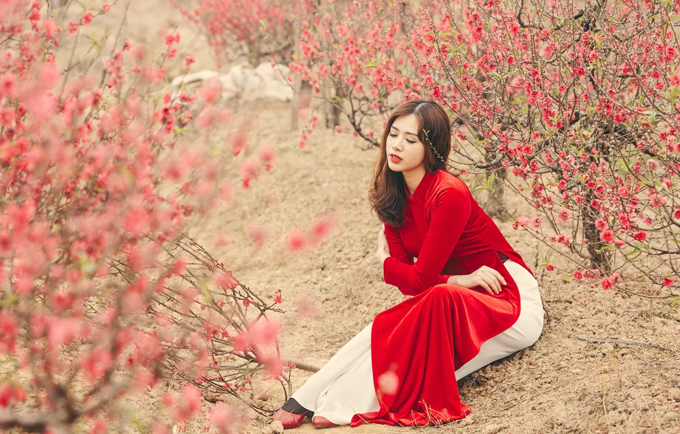 Photo wallpaper girl, nature, Asian