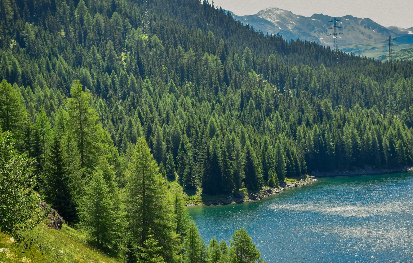 Photo wallpaper forest, water, trees, mountains, lake, spruce, pond