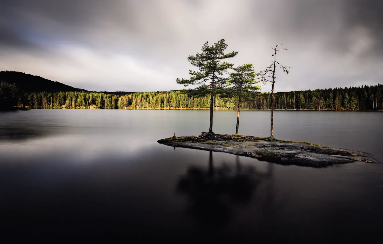 Photo wallpaper forest, lake, island
