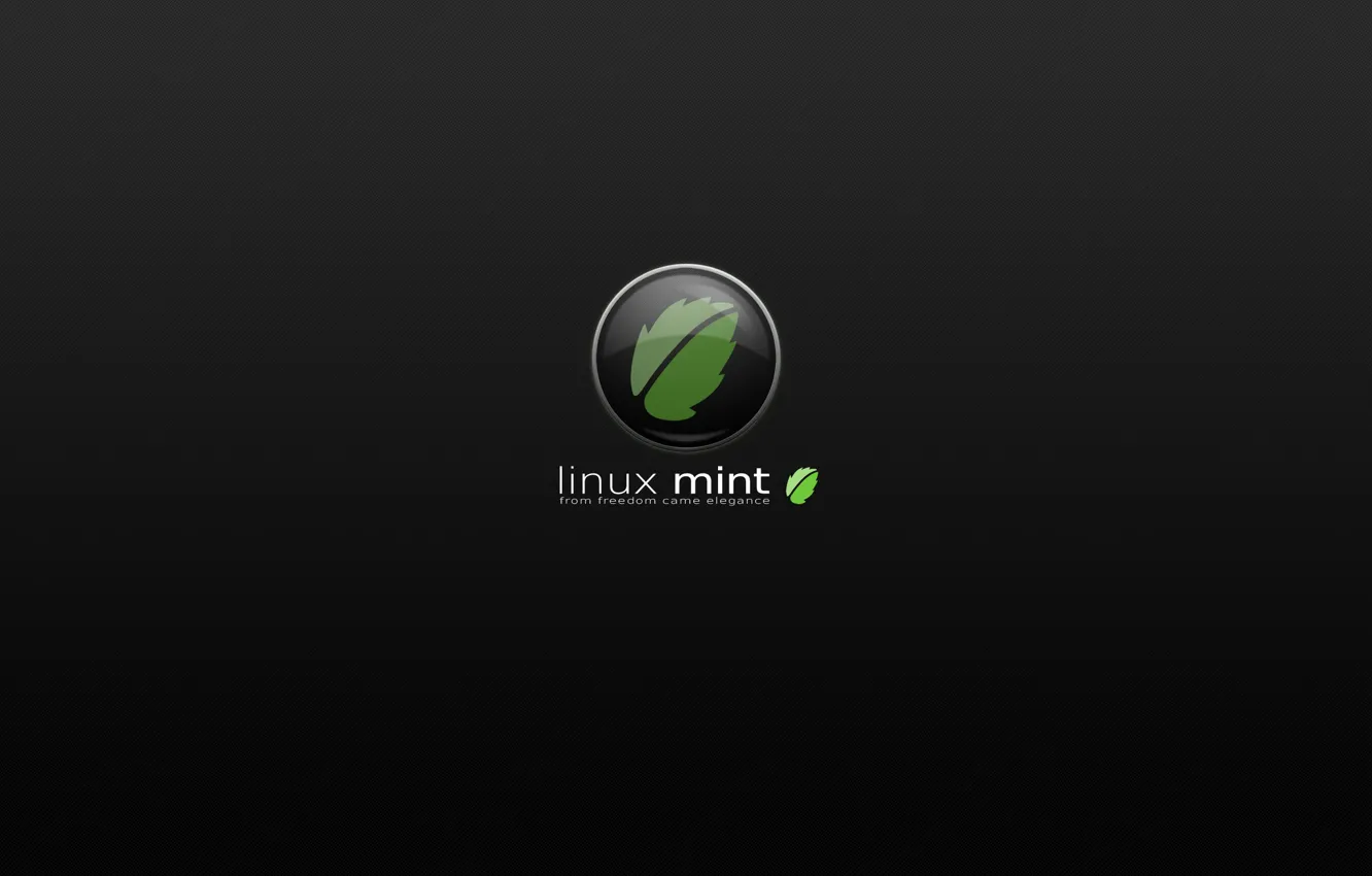 Photo wallpaper Linux, Linux, Linux Mint, LINUX