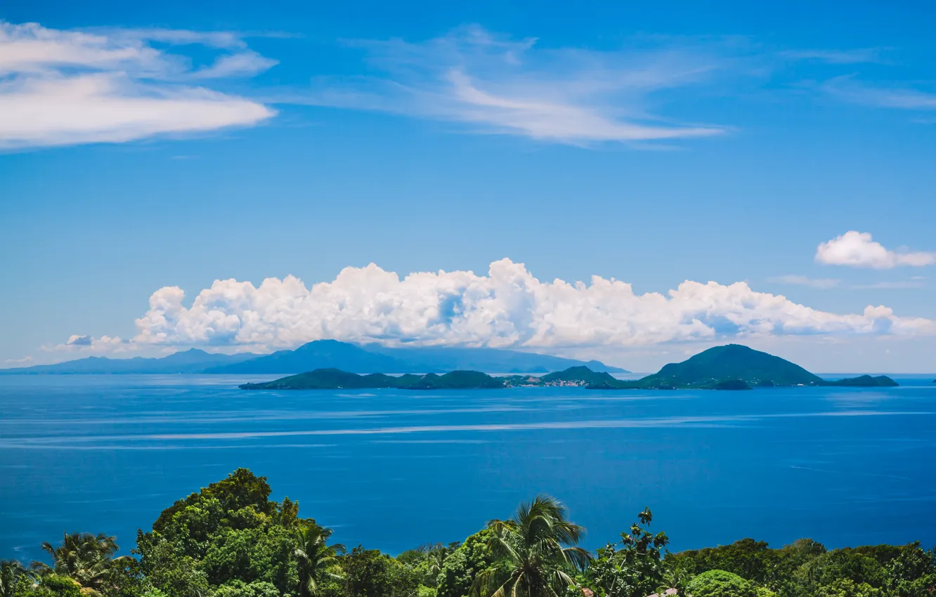 Photo wallpaper sea, blue, palm trees, island
