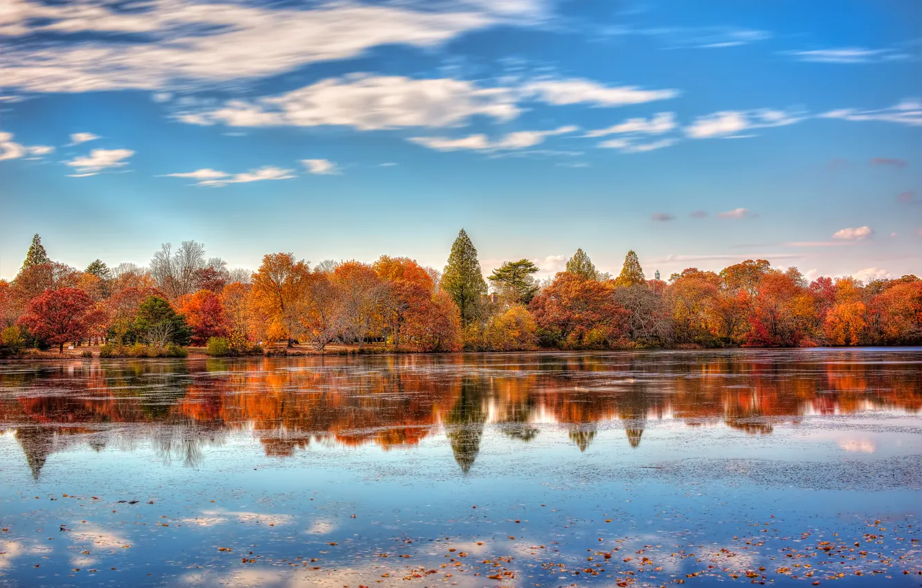 Photo wallpaper autumn, reflection, the city, lake, New York, USA, November, Belmont Lake State Park
