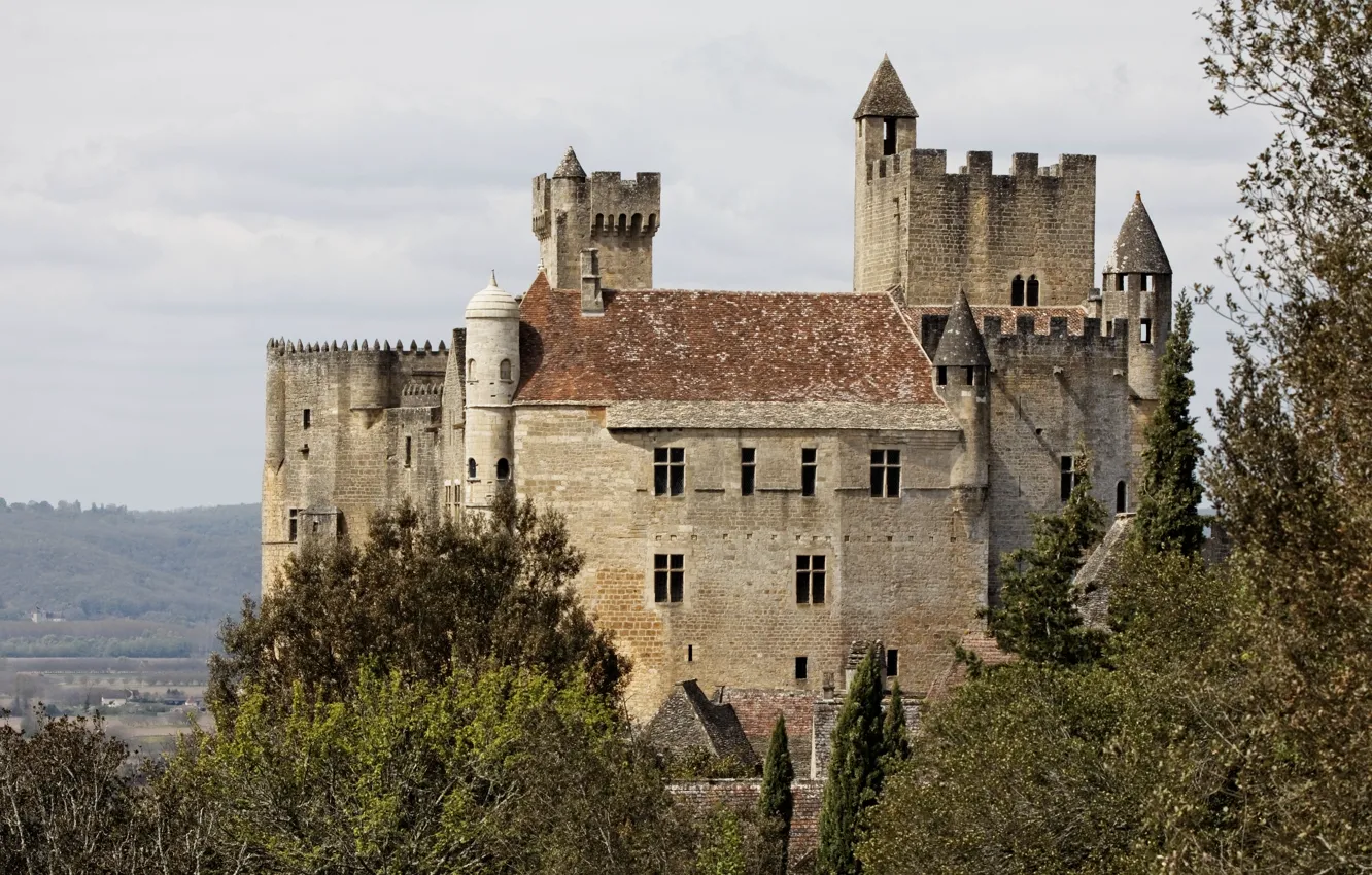 Photo wallpaper the sky, trees, France, medieval architecture, Benac Castle