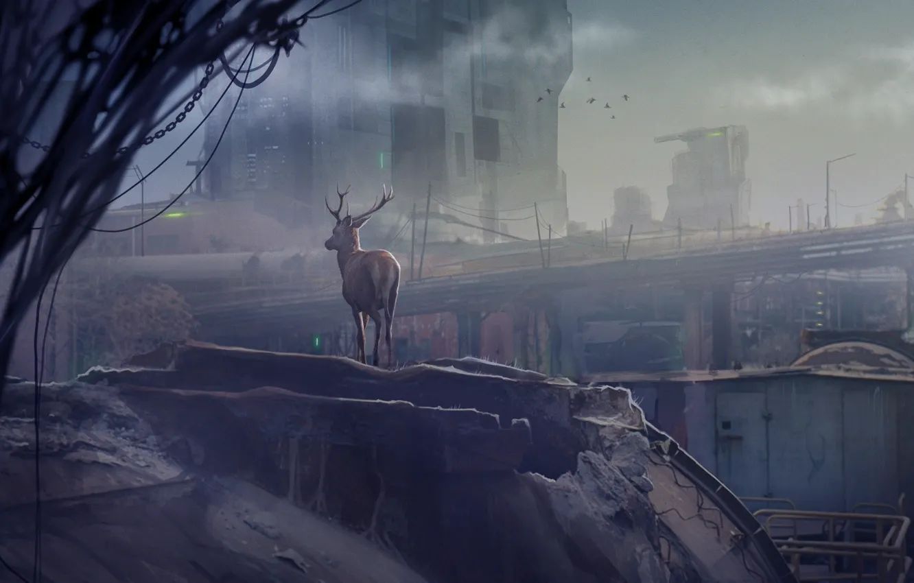 Photo wallpaper deer, chain, dawn, the clash between nature Vs industrialization, 4th World