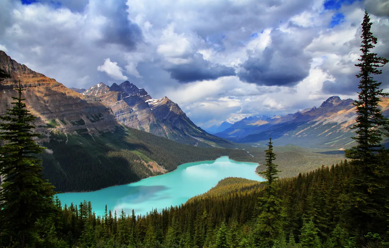 Photo wallpaper forest, mountains, nature, lake, Banff National Park, Canada, Peyto Lake