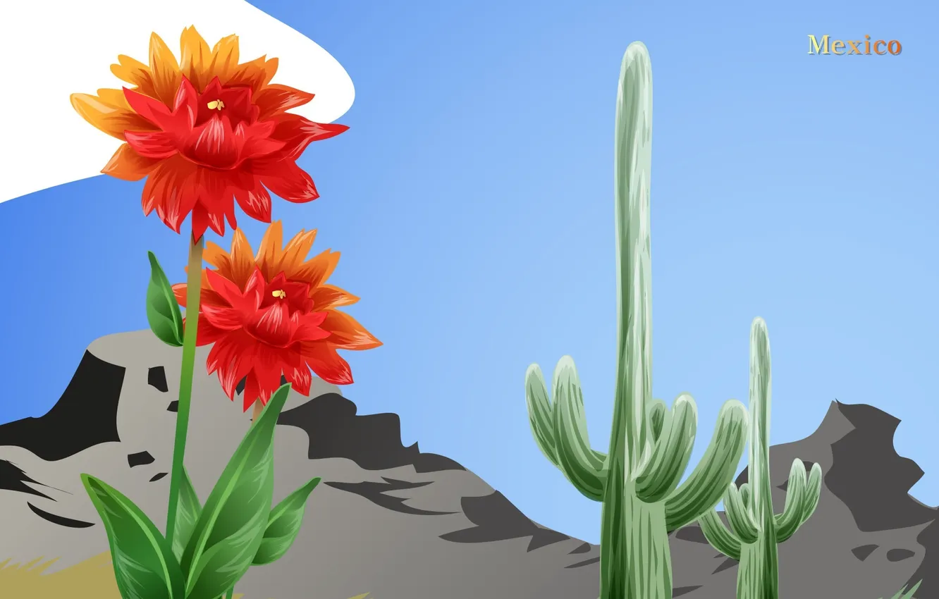 Photo wallpaper flower, mountains, cactus, Mexico, Mexico